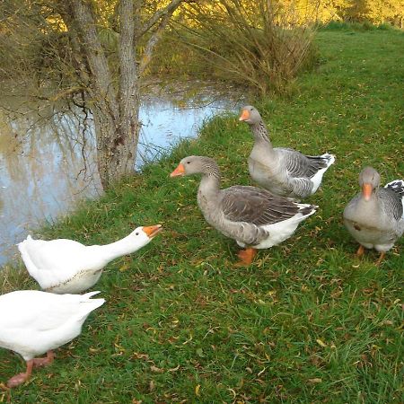 Domaine De Varenne Bed & Breakfast Saint-Amand-en-Puisaye Luaran gambar