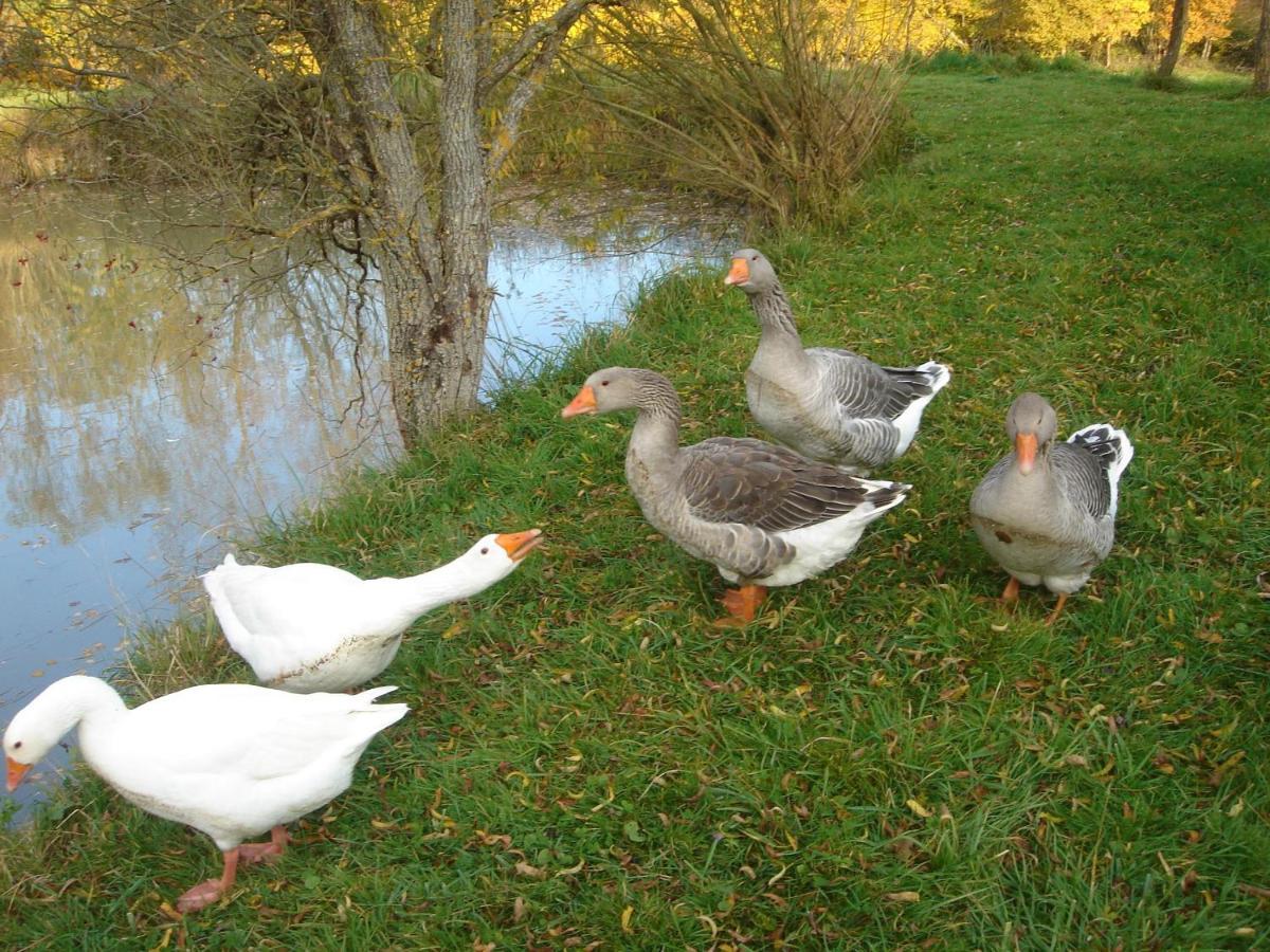Domaine De Varenne Bed & Breakfast Saint-Amand-en-Puisaye Luaran gambar