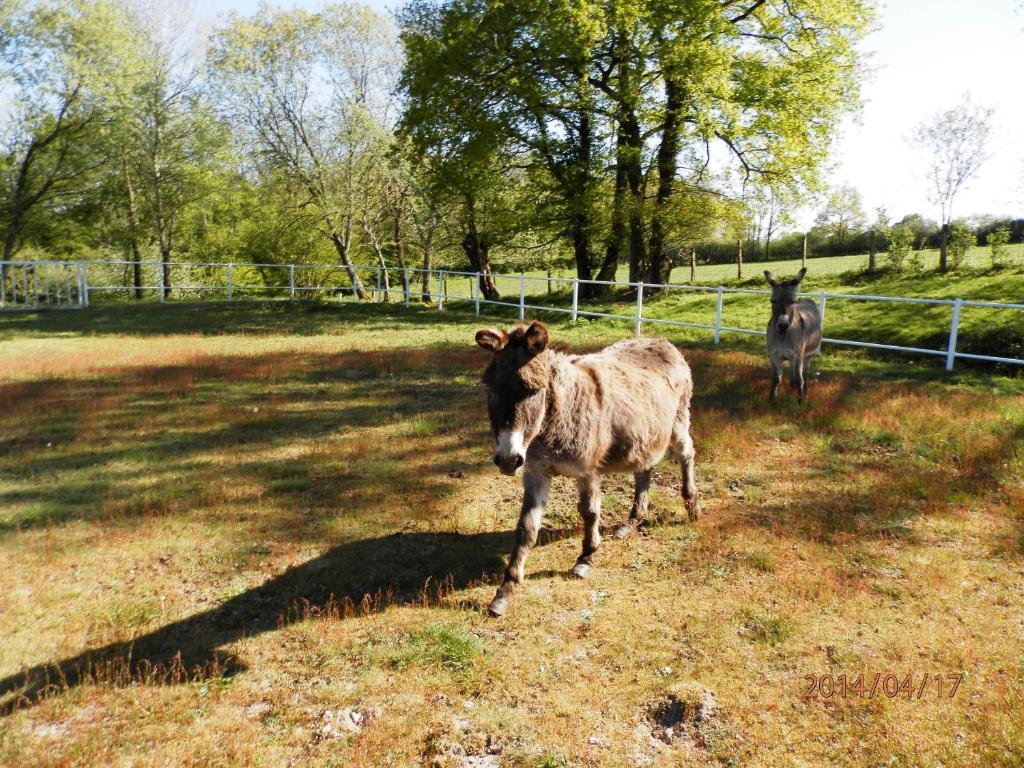 Domaine De Varenne Bed & Breakfast Saint-Amand-en-Puisaye Luaran gambar