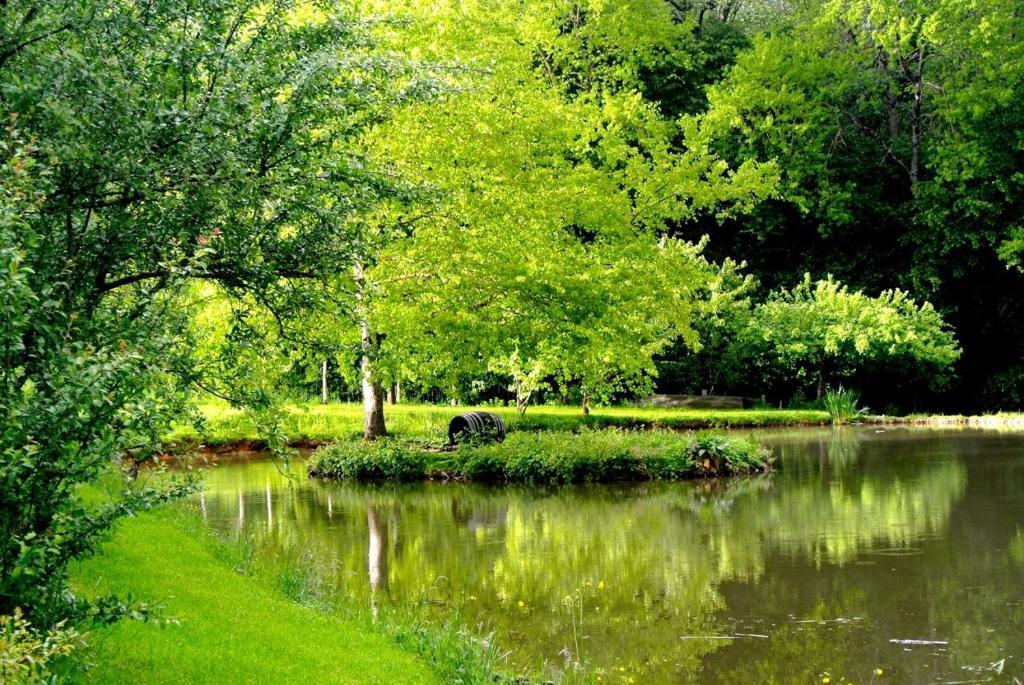 Domaine De Varenne Bed & Breakfast Saint-Amand-en-Puisaye Luaran gambar